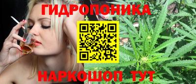 ПСИЛОЦИБИНОВЫЕ ГРИБЫ Можга