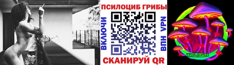 Галлюциногенные грибы Psilocybine cubensis  Дедовск 