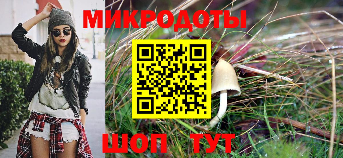 Псилоцибиновые грибы Cubensis Дедовск