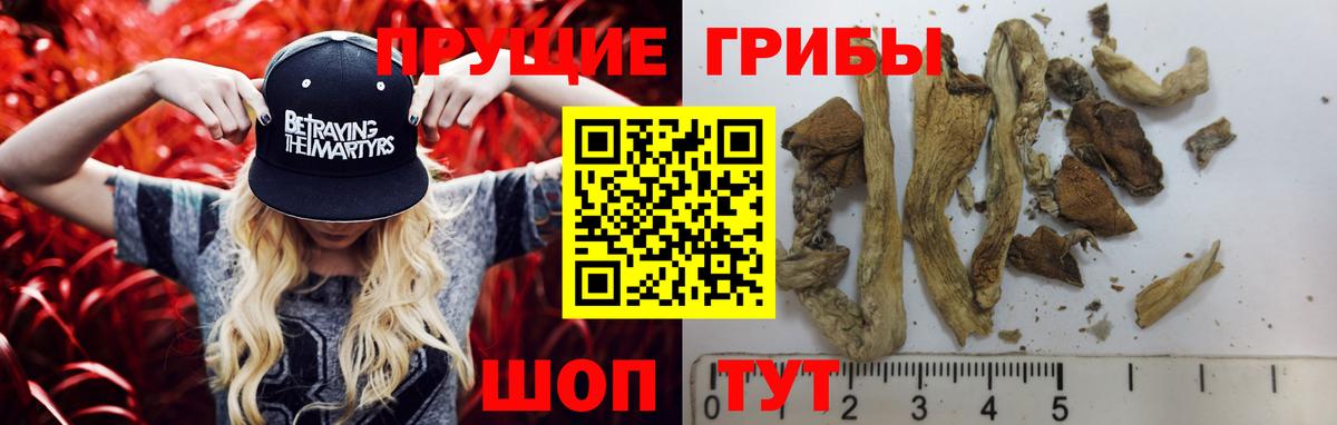 Дедовск  Галлюциногенные грибы мицелий  Вход с VPN 